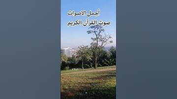 #قرآن #سورة_فصلت 🤲🌺#محمد_صديق_المنشاوي🌺🤲 #قران_بصوت_جميل #المنشاوي_الصوت_الباكى 🌺🤲🌹
