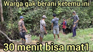 WARGA GEMPAR KEMUNCULAN ULAR RAJA PALING MENGERIK4N YANG DI TAKUT1 WARGA MASUK KE DALAM BUBU IKAN