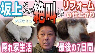 【パパ絶叫】坂上本家の完成は近い！隠れ家生活最後の7日間 by 坂上家のチャンネル 342,225 views 1 month ago 11 minutes, 12 seconds