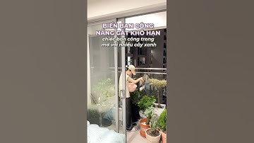 Hihi chiếc ban công trong mơ 🤗 #lynsyouth #hanhtrinhmoi #phattrienbanthan #songchatluonghon