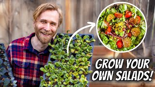 How to Grow Salad Greens in Containers | Full Guide for Beginners with Step-by-Step Instructions by Nextdoor Homestead 2,500 views 2 months ago 8 minutes, 38 seconds