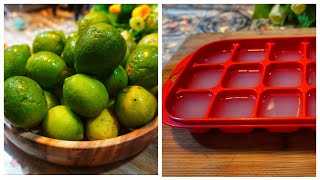 সারা বছর সঠিকভাবে লেবুর রস সংরক্ষণ পদ্ধতি  Preserve and Store Lemon Lime Juice for a whole year