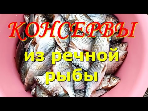 Рецепт рыбных консервов в домашних условиях из речной рыбы в скороварке