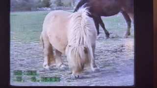 Orling - Maman De Rudy - 00015