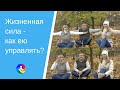 Жизненная сила - как ею управлять?