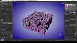 Pore accessibility using Dragonfly (ORS)