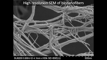 [Materials] High resolution SEM of bionanofibers