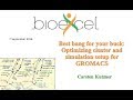 BioExcel Webinar Series #6: Optimizing cluster and simulation setup for GROMACS