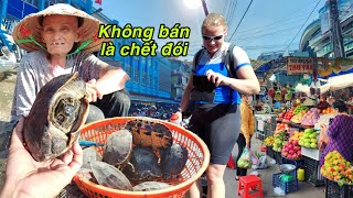 Chợ Vĩnh Long - Gặp bà Lão bán bầy Rùa: "Không bán là chết đói"