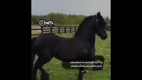 قرآن كريم بصوت جميل فقط استمع بقلبك حالات واتس إسلامية