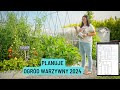 Planuje ogrd warzywny 2024 podozmian w ogrodzie uprawa warzyw