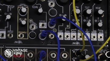 Make Noise Black and Gold Unboxing Video