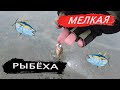 МИНСКОЕ МОРЕ! Мелкая рыба не дает покоя! По всюду ерши и окуни!