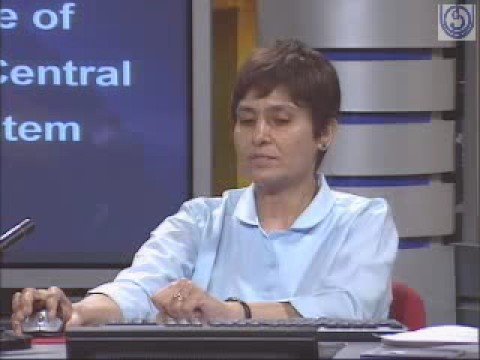 Nursing Care of Children with Central Nervous System Disorder Nursing Care of Children with Central Nervous System Disorder