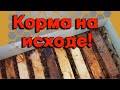 Вторая половина зимовки. - Корма на исходе.