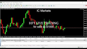 Turning $1,000 into $100,000 with a Live HFT Bot | Real-Time Trading on US30(DAY1)