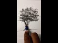 تعليم رسم الشجرة بالقلم الرصاص فقط 