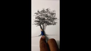 تعليم رسم الشجرة 🌲 بالقلم الرصاص فقط