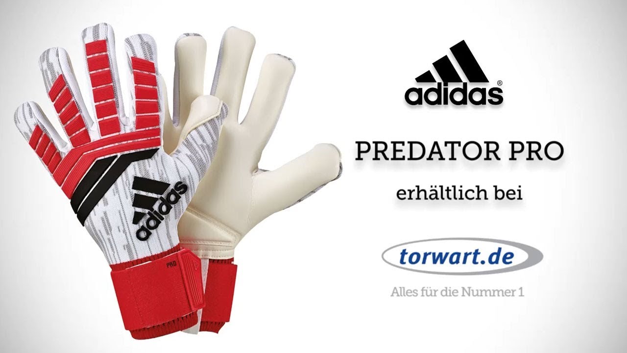 adidas predator pro 2016