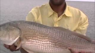Blaize Charters.wmv
