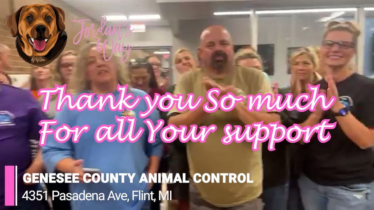⌚ 2 Min Recap GENESEE COUNTY ANIMAL CONTROL Animal Shelter Fundraiser