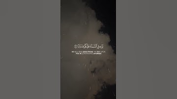 سورة نوح | فقلت أستغفروا ربكم إنه كان غفارا 🤍🤍🫀 القارئ #ياسر_الدوسري