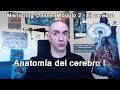 Anatomía del cerebro I. Adelanto del Módulo 2 -El cerebro- del Mentoring Online