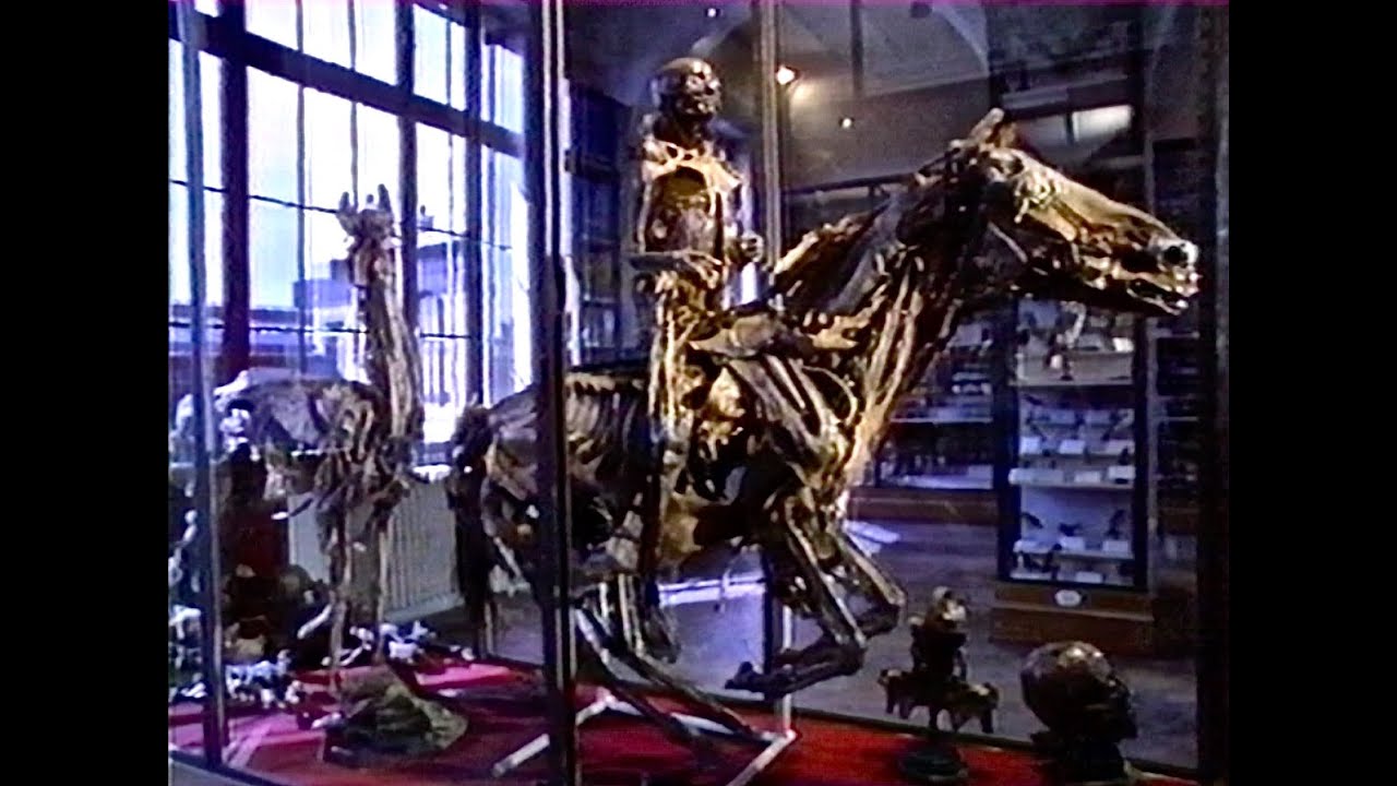 Le musée Fragonard (1991)