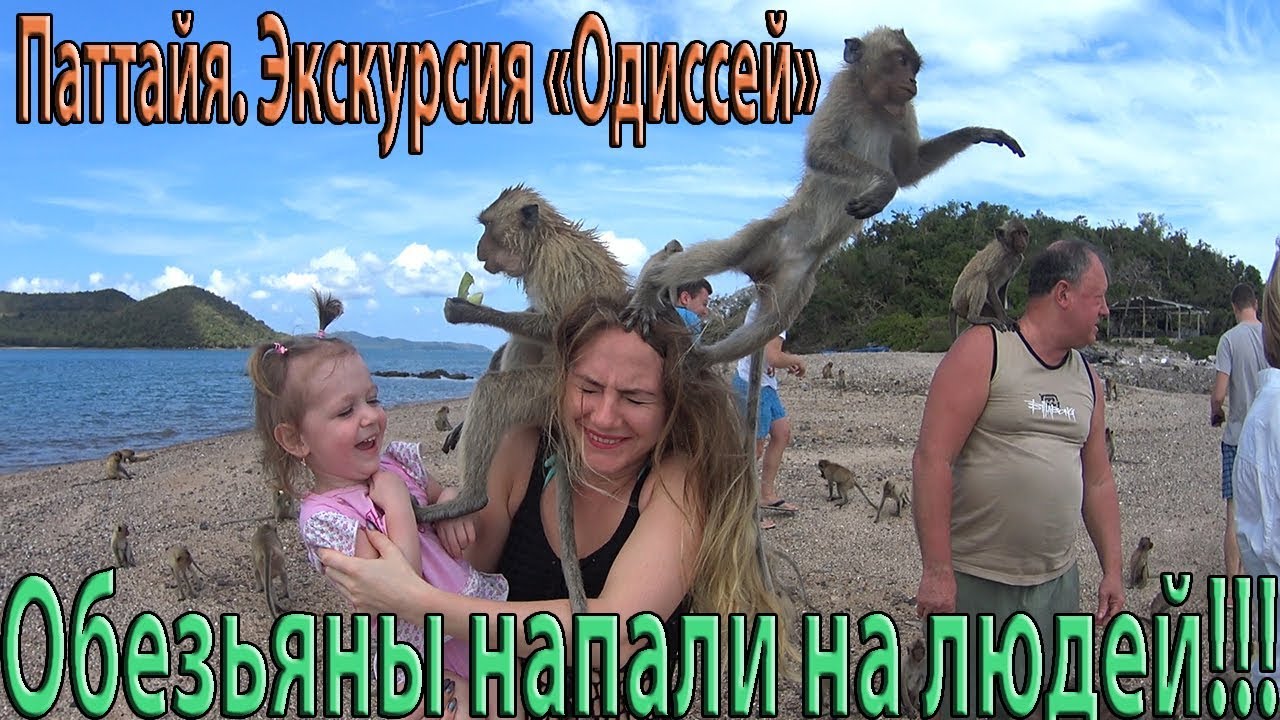 Паттайя экскурсии детей цена путевки в тайланд из алматы