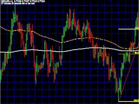 Forex mentor price action