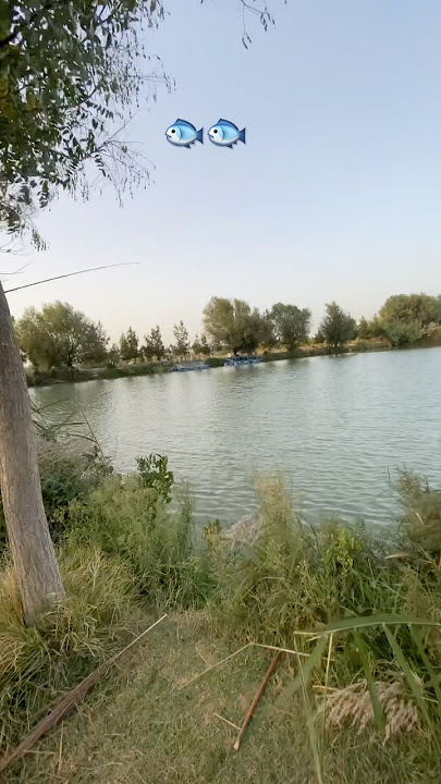 Jafar Kamolob #music #remix #музыка #song #batmanaansakremix #instagram #hiphop #love #artist #dj