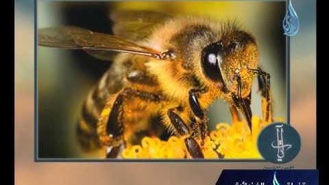 آيات لقوم يتفكرون | ح2 | د.محمد العجرودي