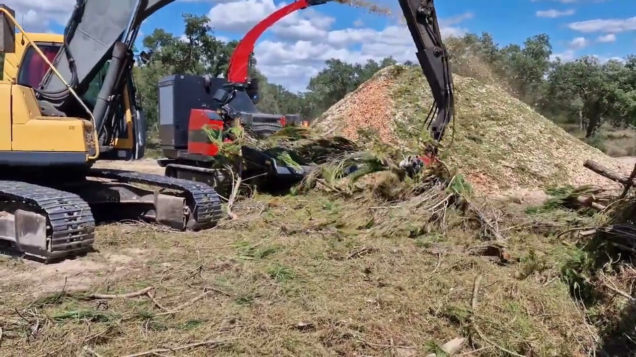 UFKES 962 TRITURAÇÃO DE PINHO