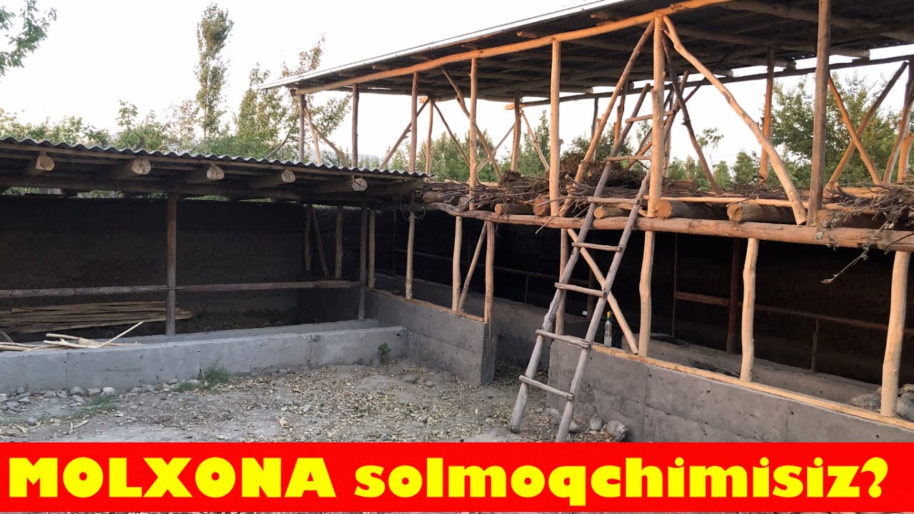 Молхона куриш проекты