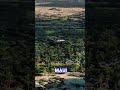 Earthquake Hawaii #hawaii #earthquake #bigisland #volcano #kilauea #news #shorts #maui #oahu