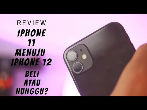 Review iphone 11 di 2020 menuju iphone 12  beli atau tunggu  