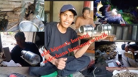 alat hipnotis burung sederhana langsung seterik