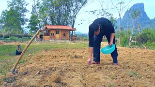 Day 180 Building New Life - Expand, Build An Organic Garden | Wild Free Life Phan