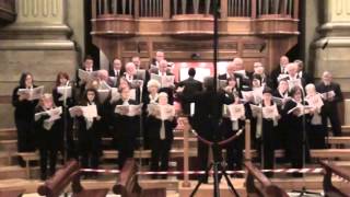 Video thumbnail of "2013-11-23 22.20.08 Coro della cattedrale: Fine anno della fede- brano 1 e 2"