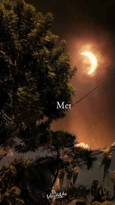 Story WA fullscreen Malam hari | Tak Seindah Cinta yang Semestinya (LIRIK)