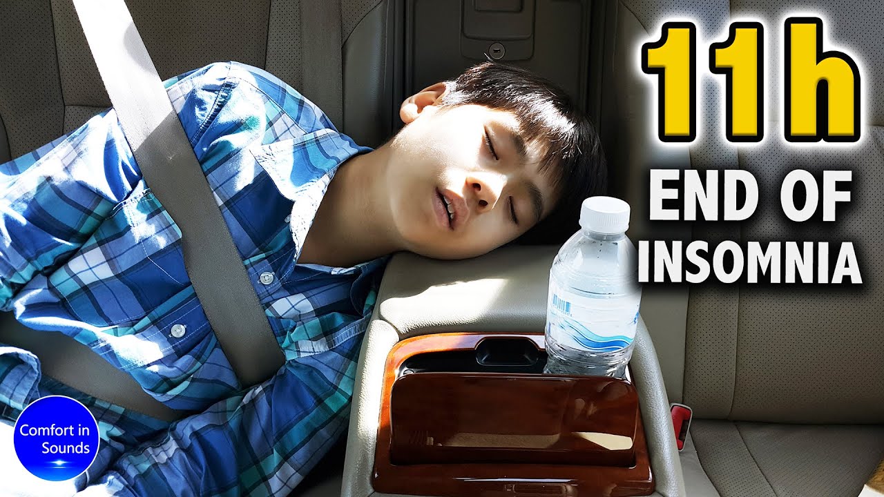 EVERYONE SLEEPS with this white noise, car ride ambience sound with car