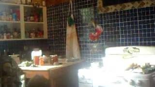 Honey Harvest 2011 - Full Part 4.avi