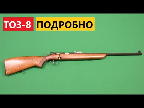 Какой калибр у мелкашки описание характеристики дальность поражения отзывы
