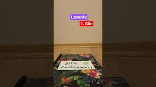 ilk video @BahçeMarket #shorts #bahçıvanlık #bitkiler