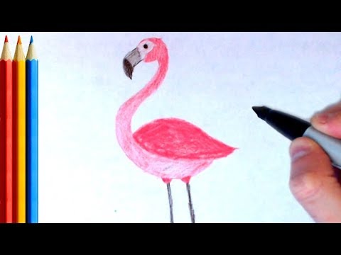 How to Draw Flamingo - Step by Step Tutorial - YouTube