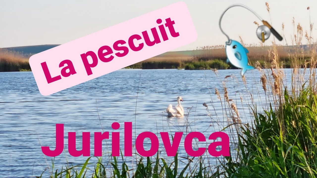 PESCUIM  LA JURILOVCA