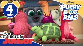 Puppy Dog Pals  Il Negozio Per Animali  Disney Junior Italia