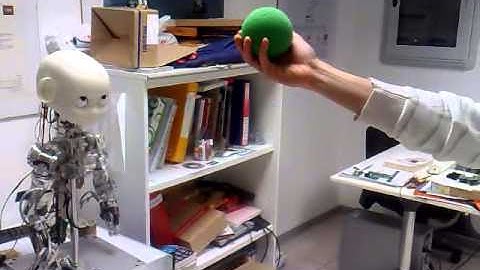 iCub Robot