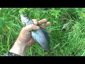 рыбалка- ХАРИУС по мутнине(уловистые обманки по мутной воде)