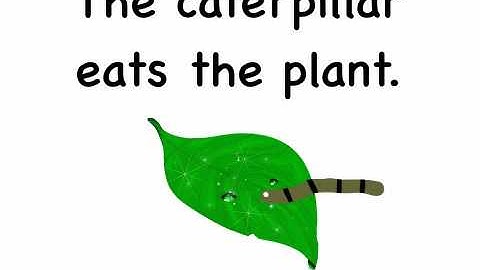 Animate the Food Chain for Science Class using Animation & Drawing by DoInk